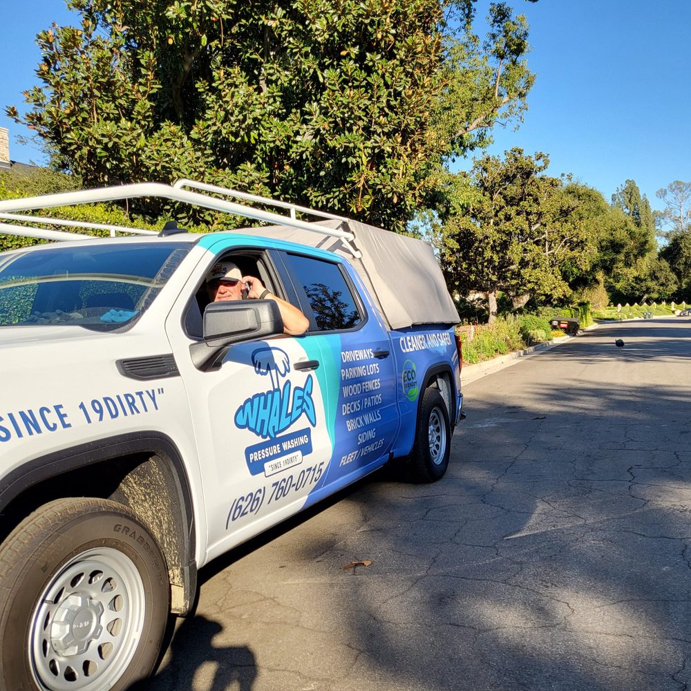 Whales Pressure Washing service vehicle